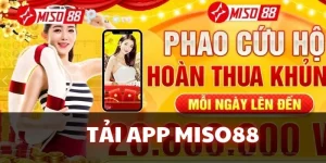 Tải app Miso88