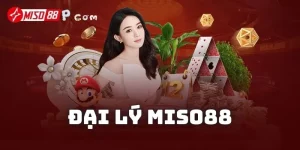 Đại lý Miso88