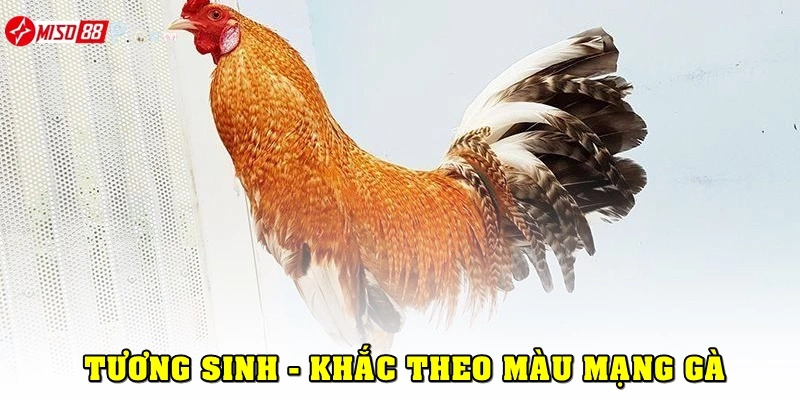 Cách tính tương sinh - tương khắc theo mạng gà