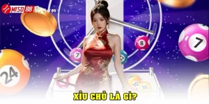 Xỉu chủ là gì