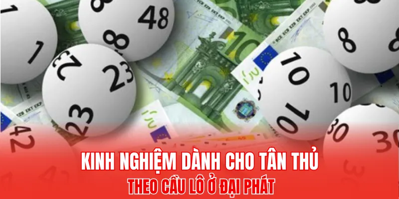 Chỉ cần cẩn trọng ắt sẽ nhận về kết quả tốt
